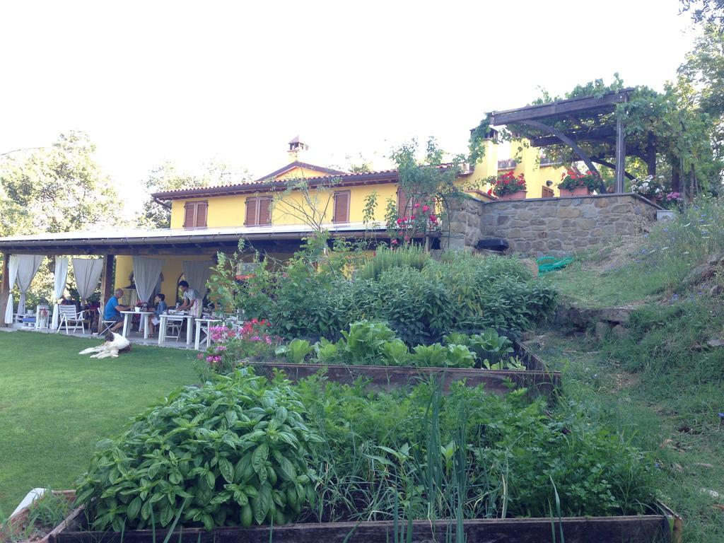 Agriturismo Borgo Nuovo Di Mulinelli Arezzo Extérieur photo